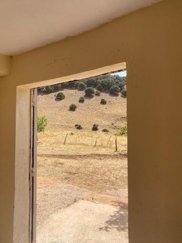 Gite Cedre Gouraud Hotel Azrou Exterior foto