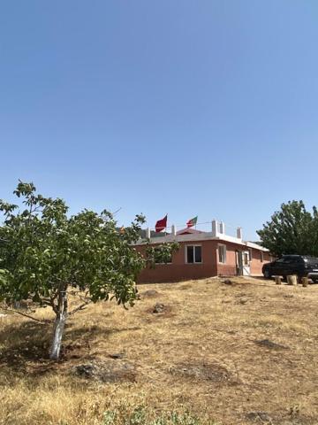 Gite Cedre Gouraud Hotel Azrou Exterior foto